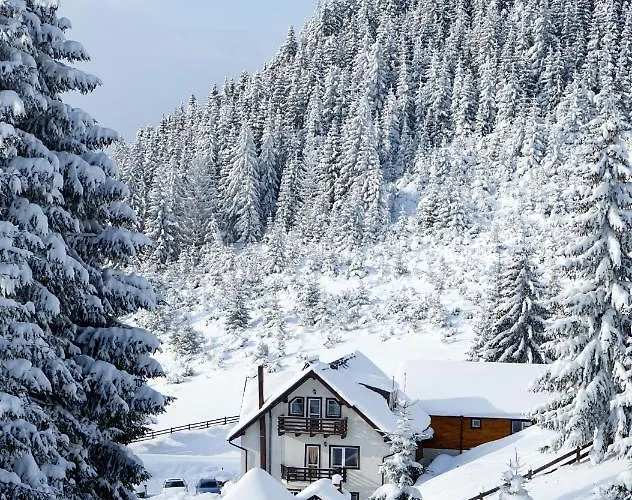 Pensiunea Poienita UrsuluiPensiune